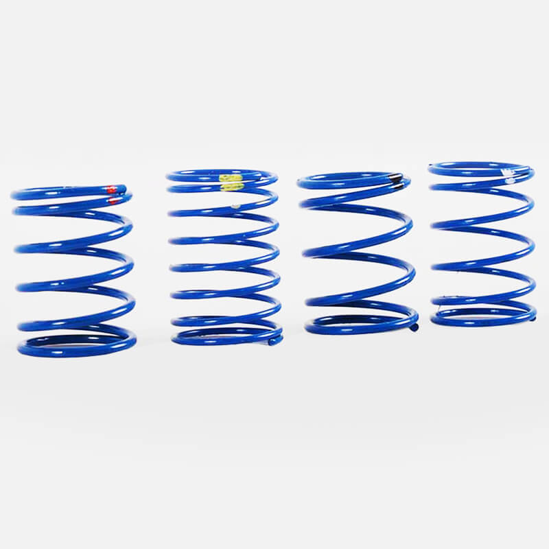 Rc4wd 70mm King Scale Shock Spring Assortment