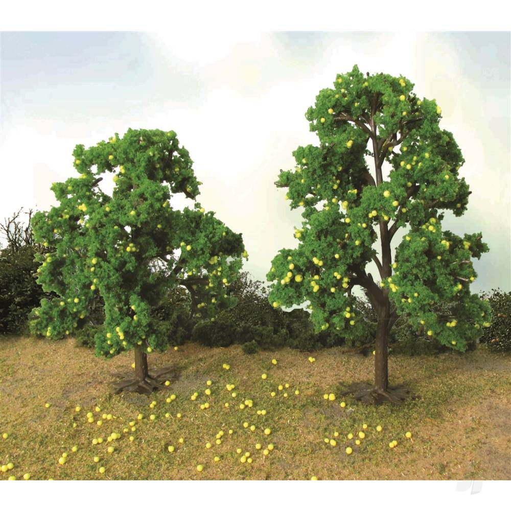 Lemon Tree Grove, 4-1/2in to 5in Tall, (2 per pack)-2
