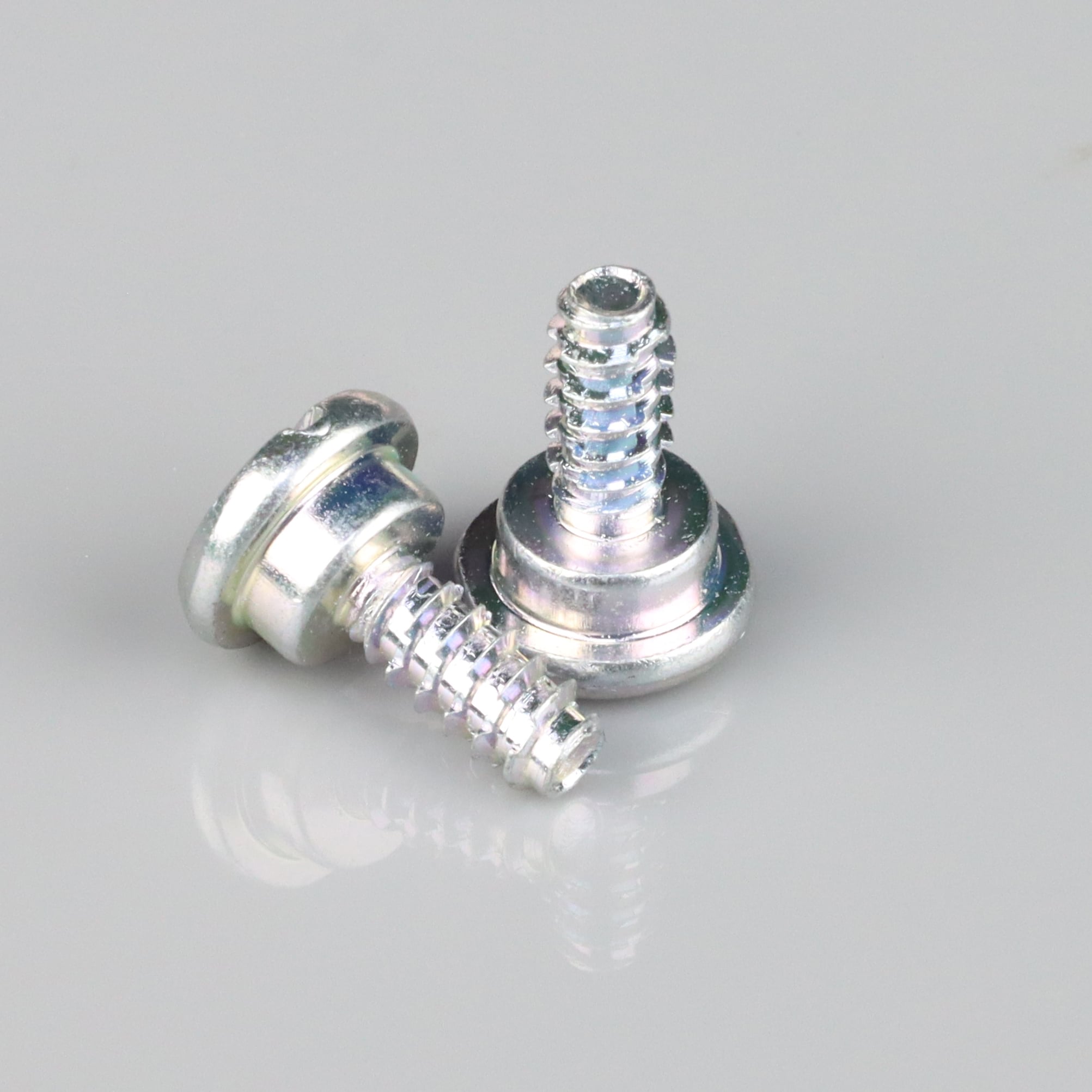 Screw (2 pcs)