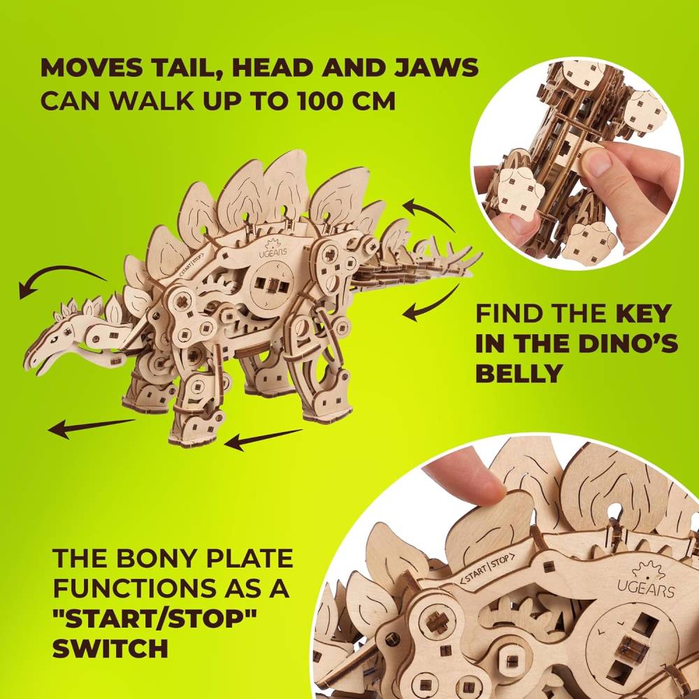 Stegosaurus-5