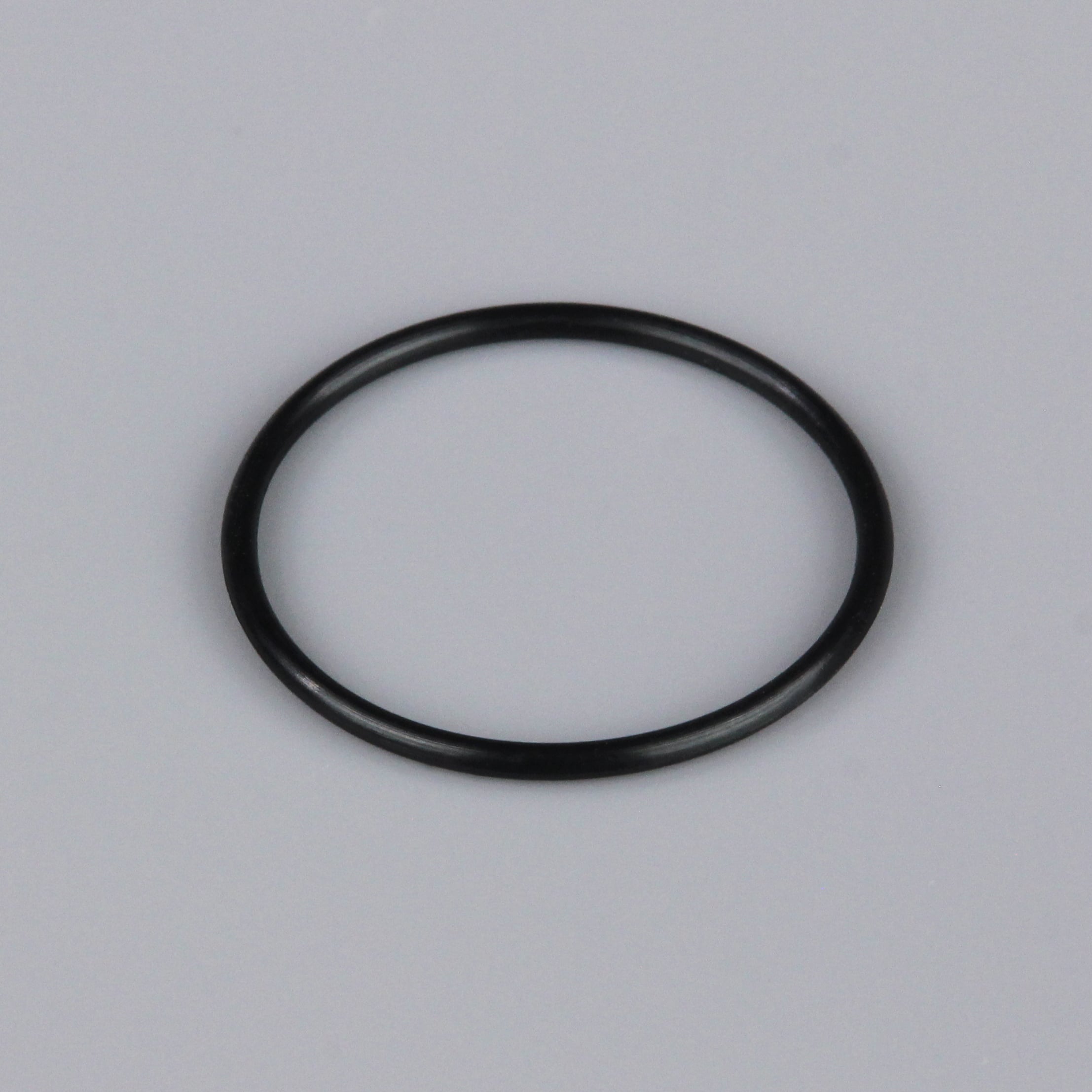 L001 Rear Crankcase Cover O-Ring