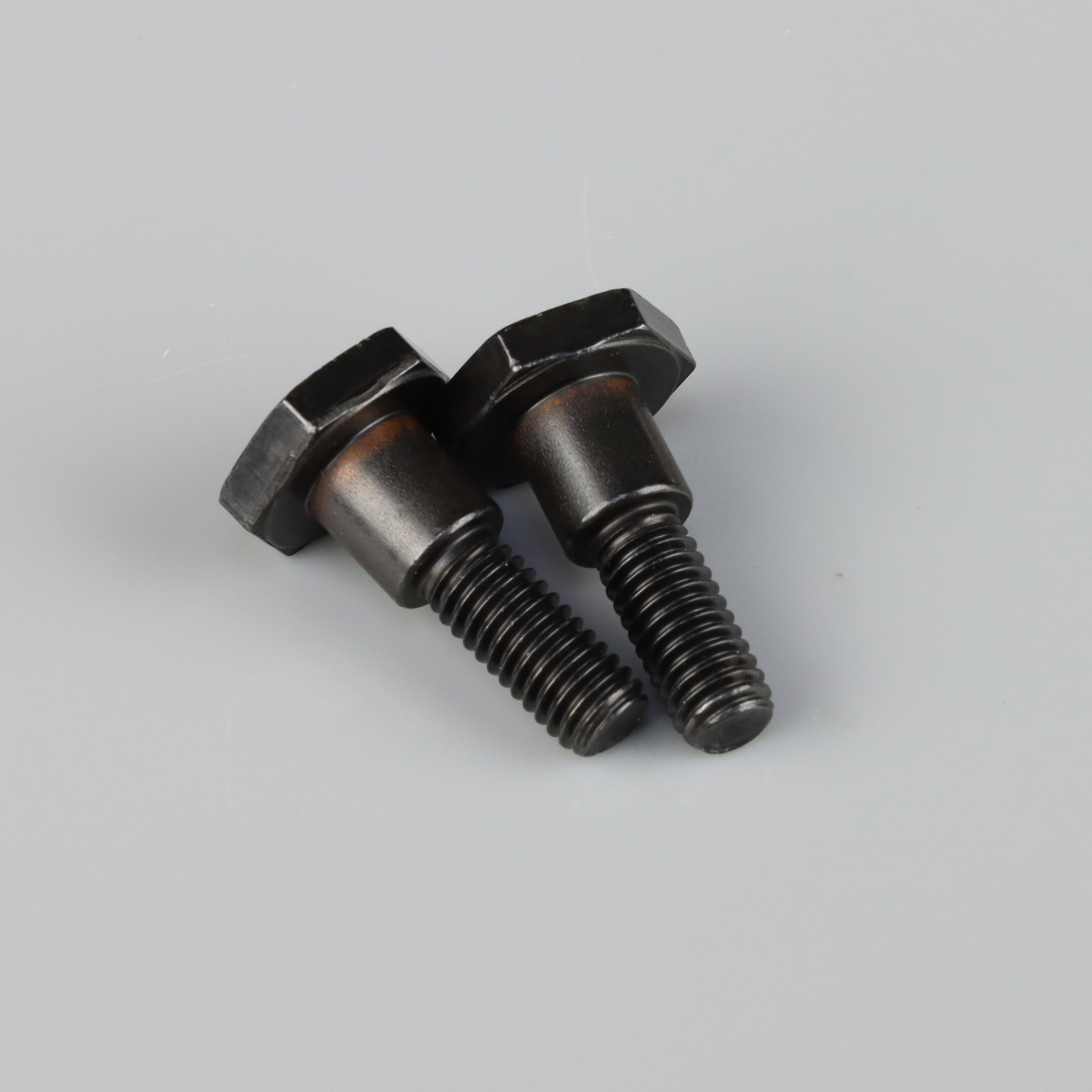 Bolt M6x22mm (2 pcs)