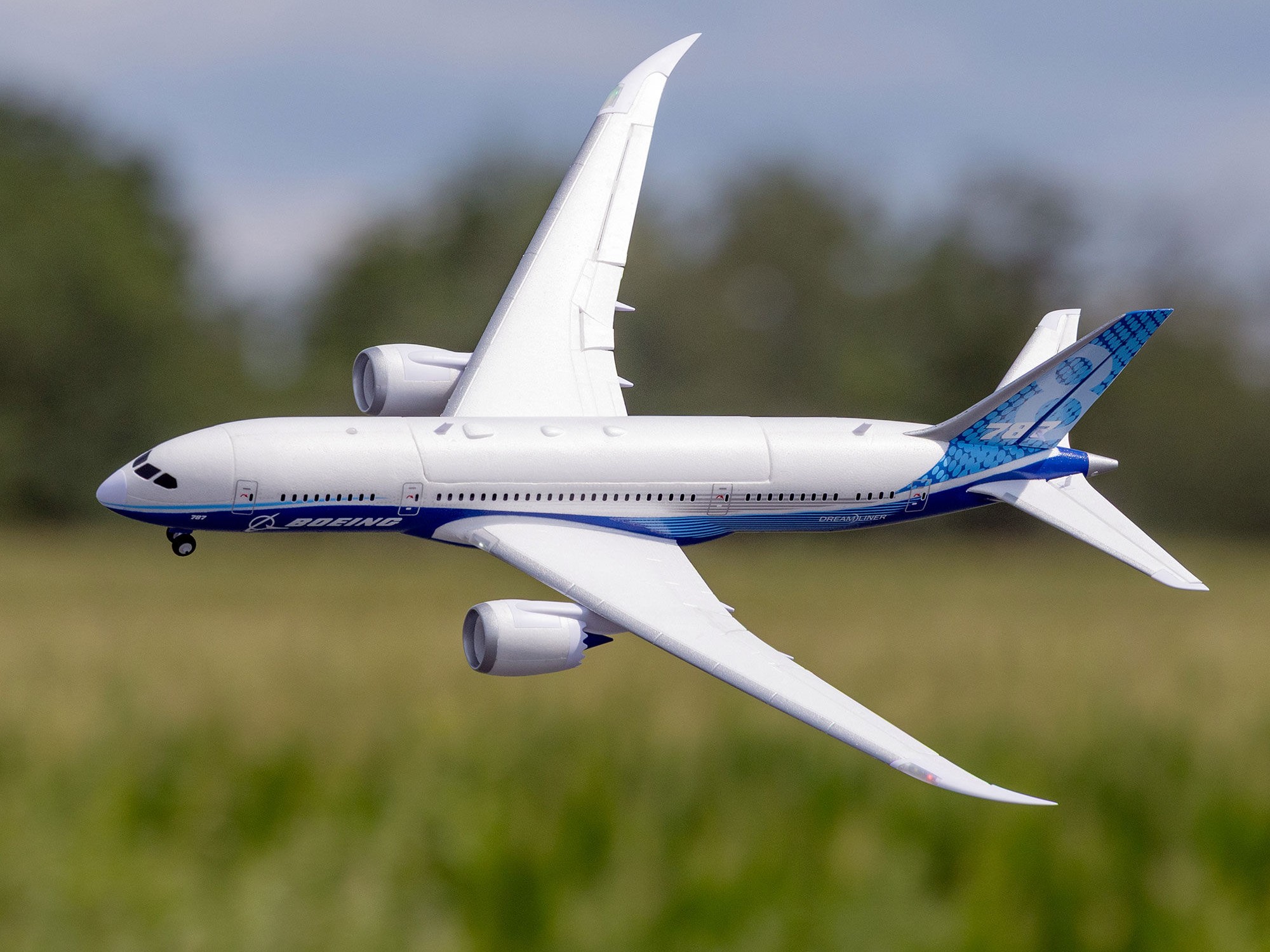 Micro Boeing 787 Dreamliner Twin 30mm EDF BNF Basic-24