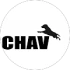 151CHAVIN