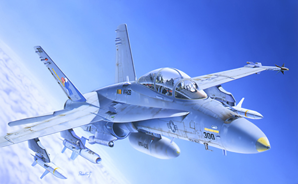 Italeri F/A-18C/D WILD WEASEL