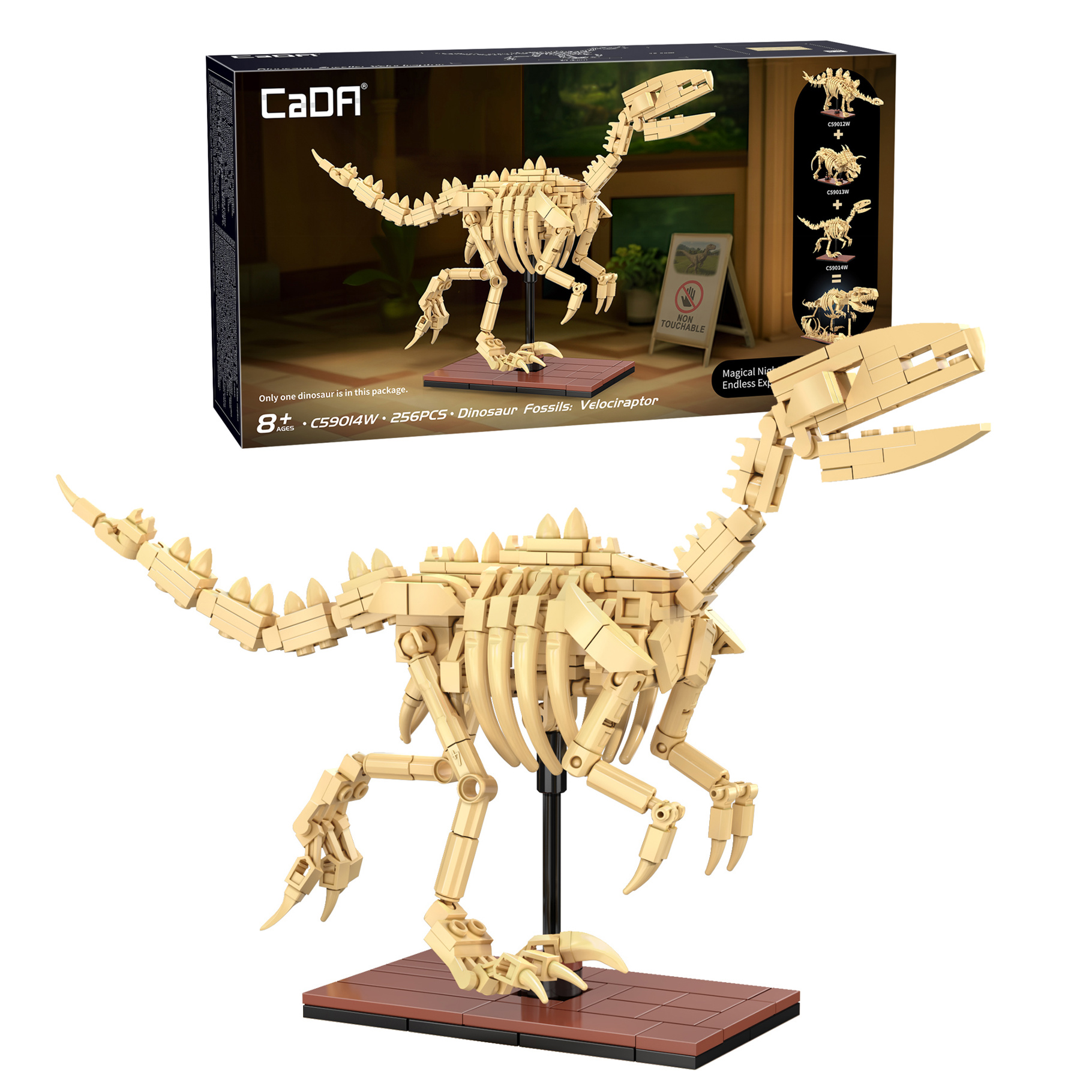cada-dinosaur-fossils-velociraptor-256-pcs