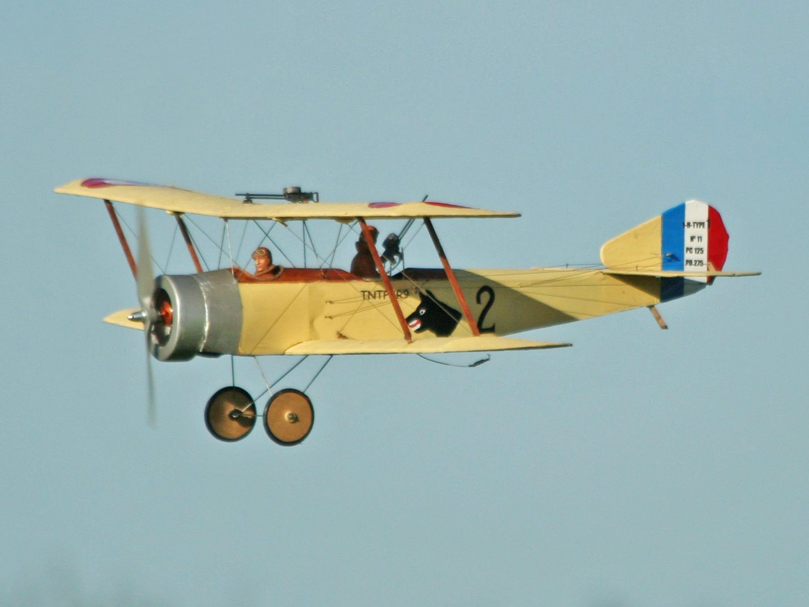 Sopwith 1/2 Strutter - 42