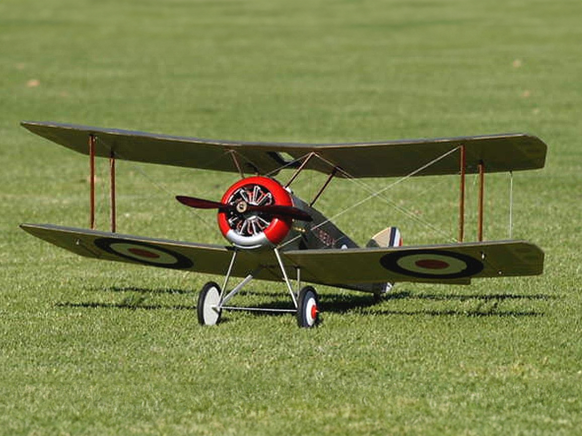 Sopwith Pup 36