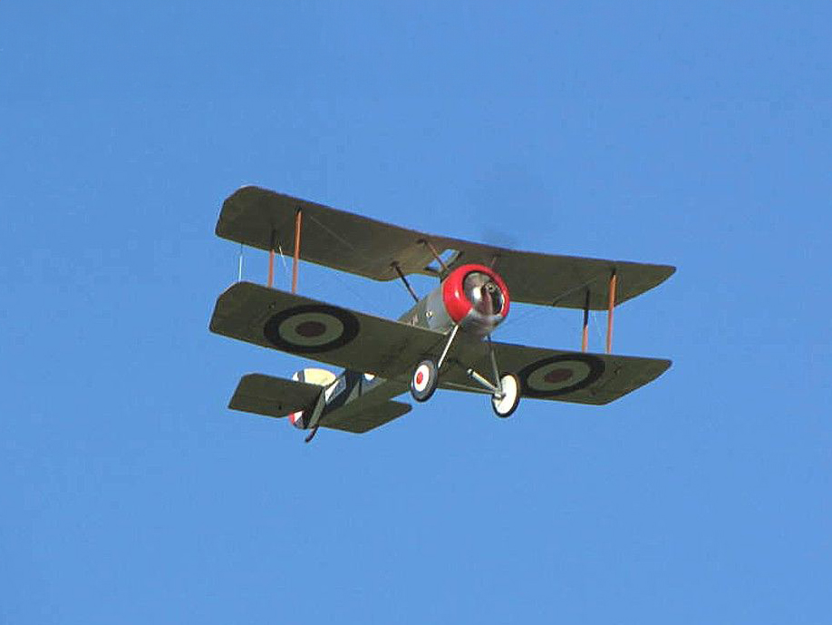 Sopwith Pup 36"electric scale kit-2