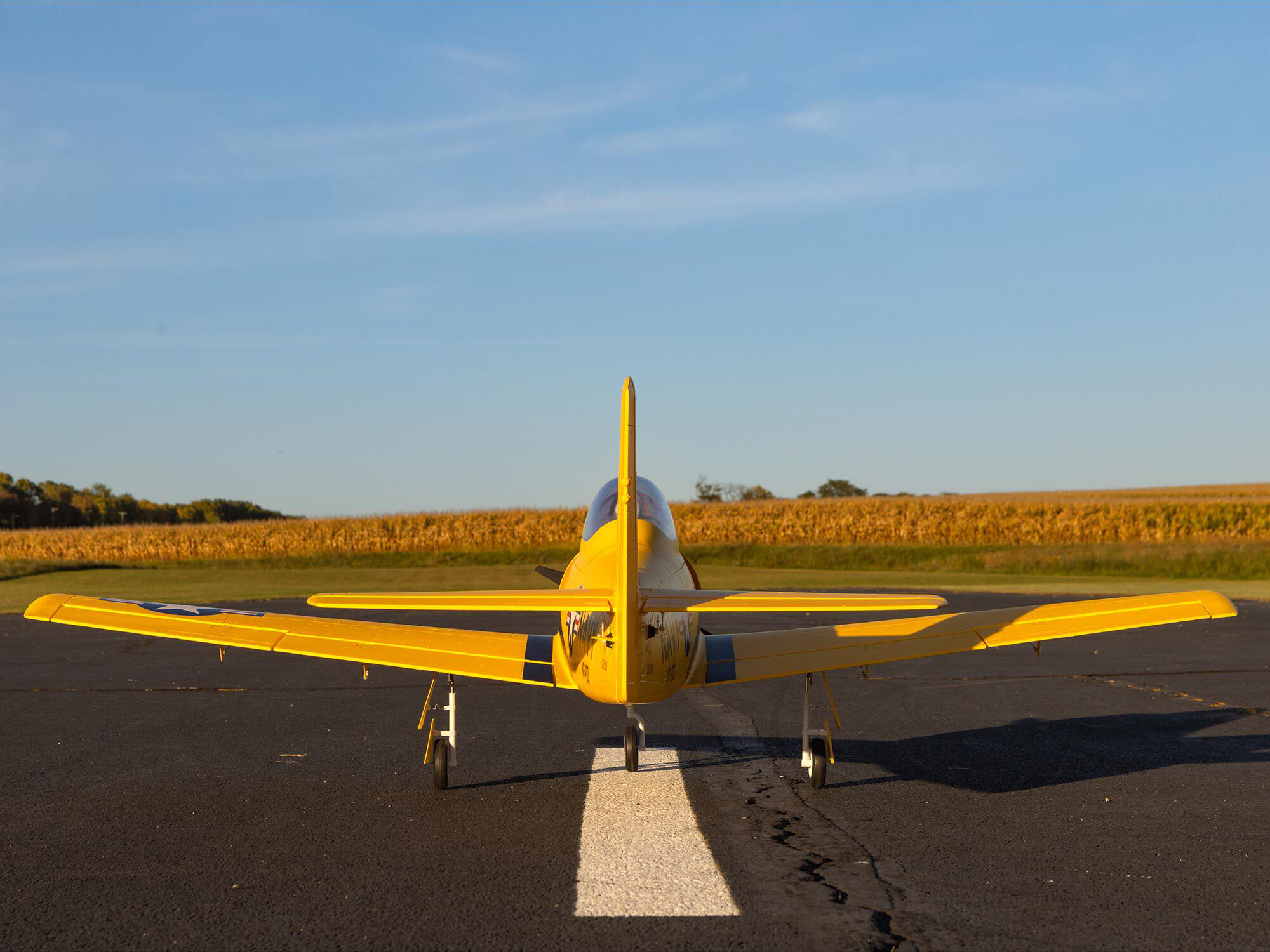 Carbon-Z T-28 Trojan 2.0m BNF Basic with AS3X and SAFE Selec-7