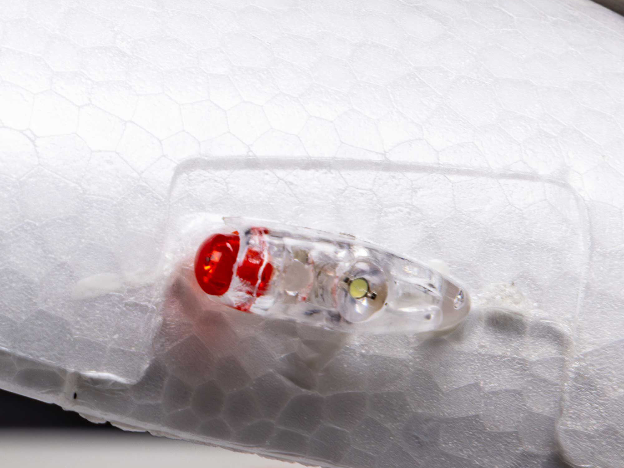 Night Timber X Evolution 1.2m PNP-8