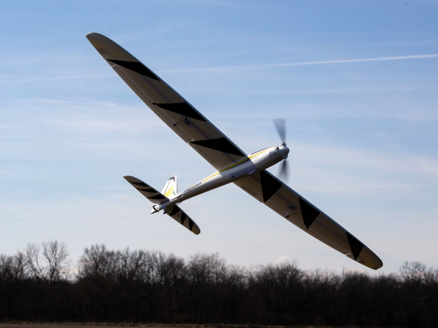 Conscendo Evolution 1.5m BNF Basic-22