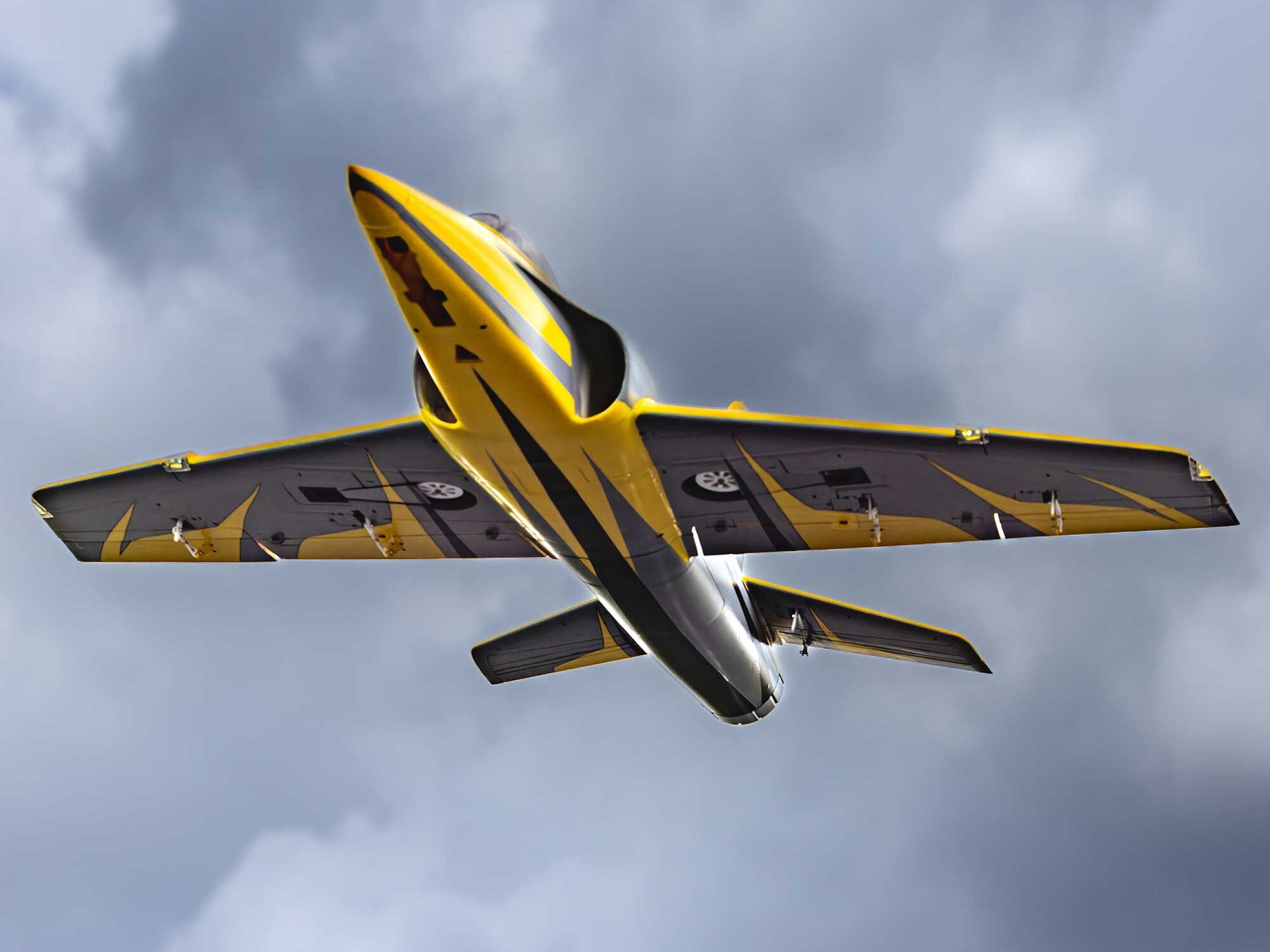 Habu XS (eXtra Sport) 80mm EDF PNP-22