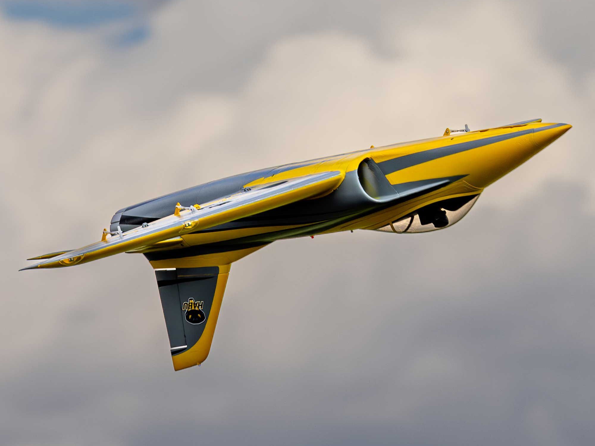 Habu XS (eXtra Sport) 80mm EDF PNP-24