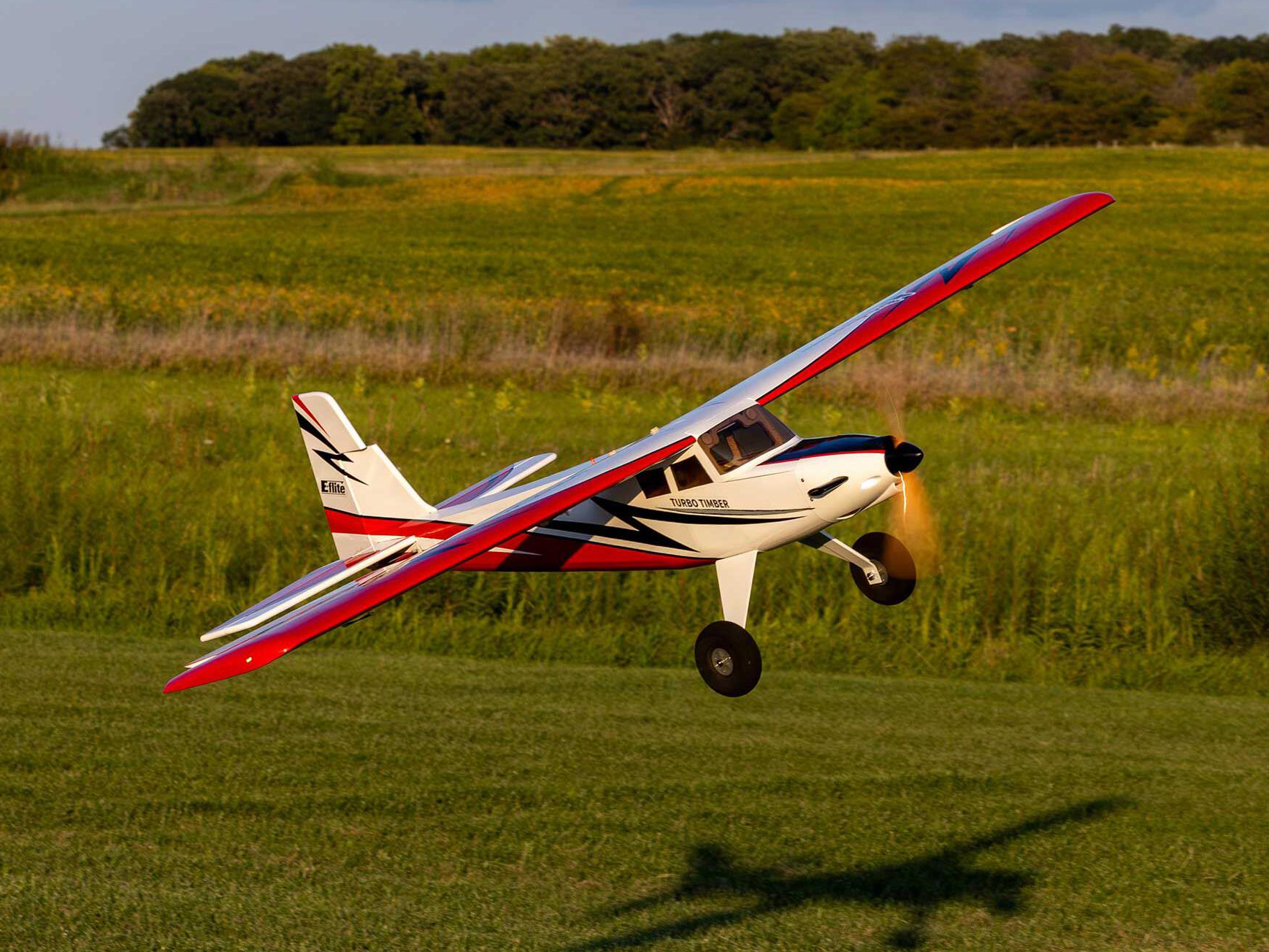 Turbo Timber SWS 2.0m ARF-19