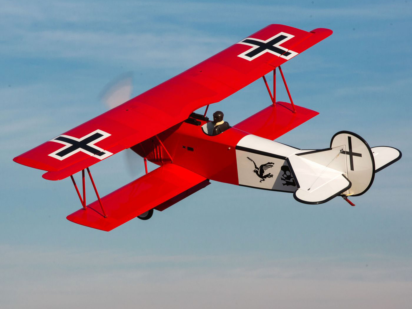 Fokker D VII 30-60cc-13