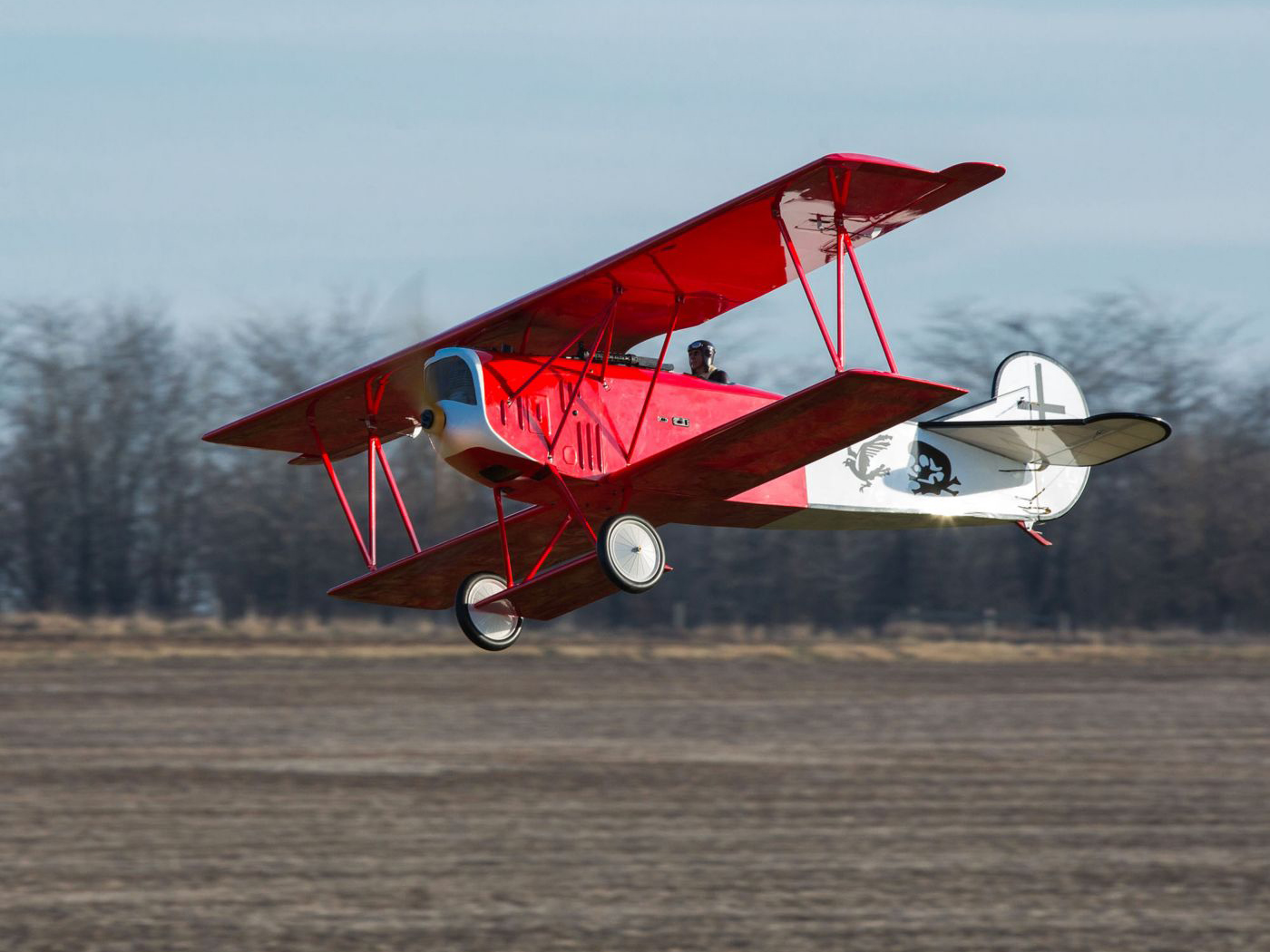 Fokker D VII 30-60cc-14
