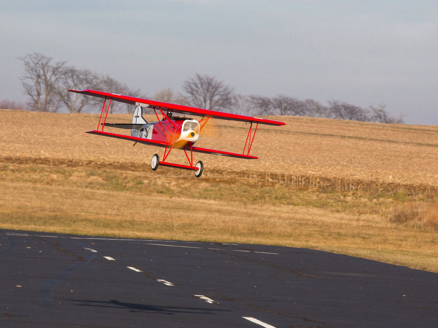 Fokker D VII 30-60cc-15
