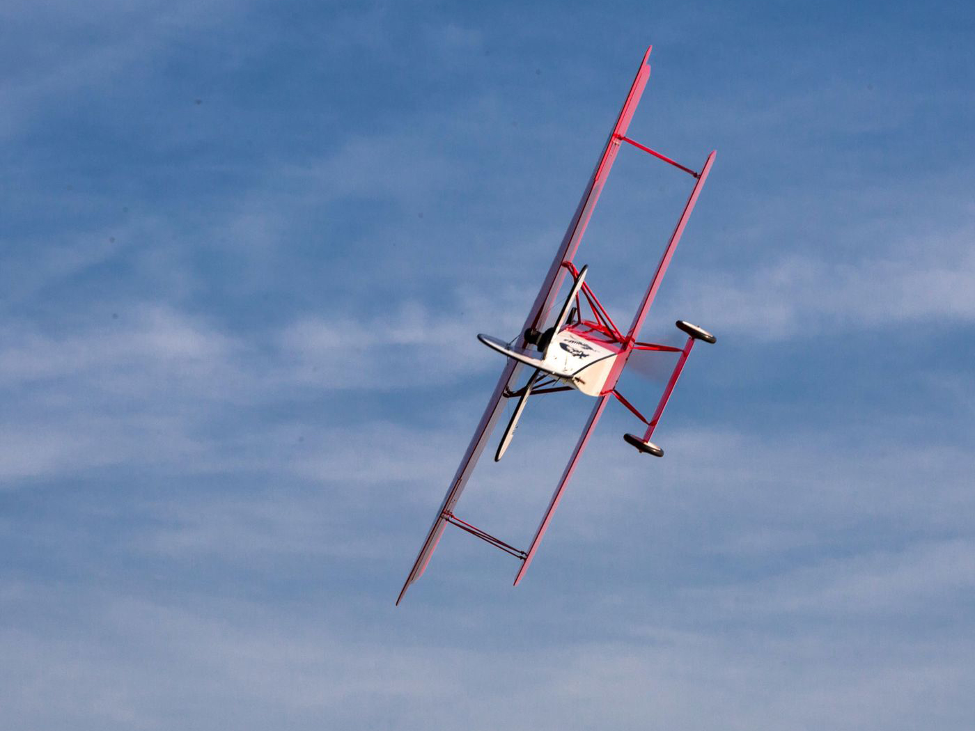 Fokker D VII 30-60cc-16