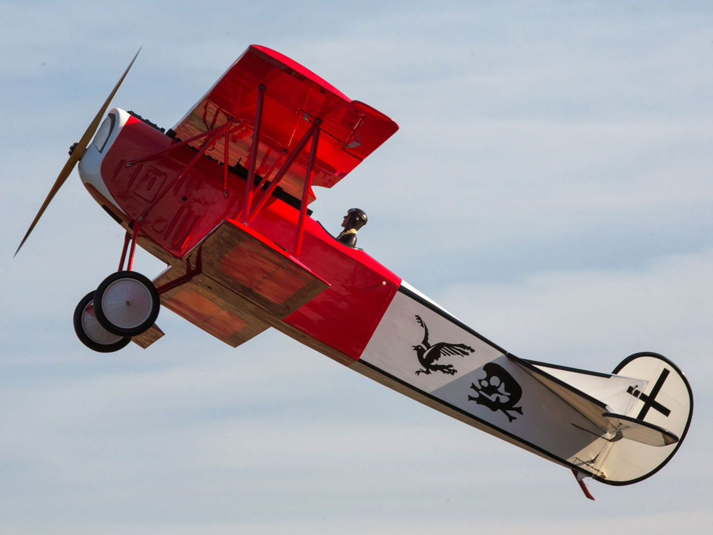 Fokker D VII 30-60cc-17