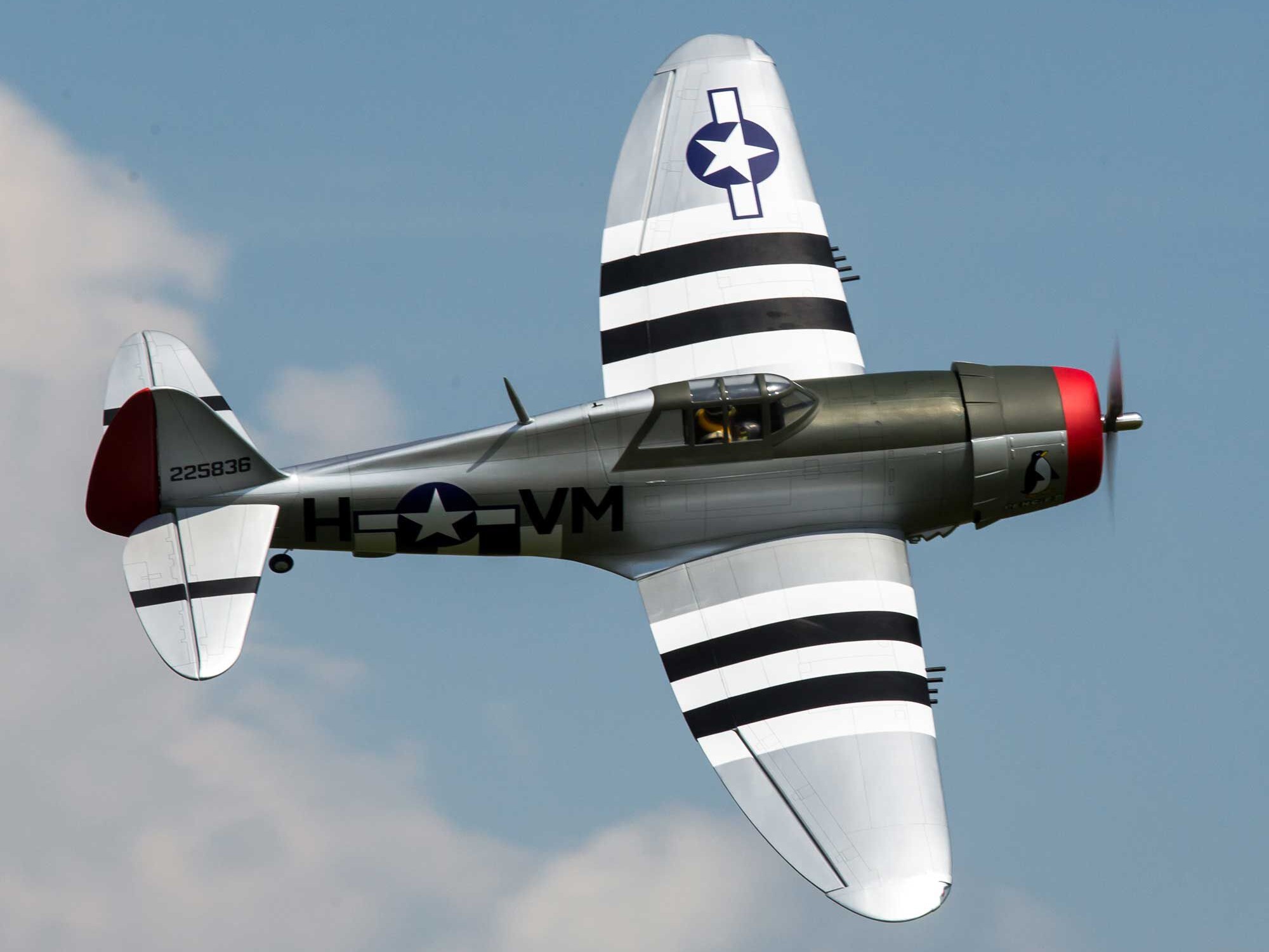 P-47D Thunderbolt 20cc ARF, 67"-23