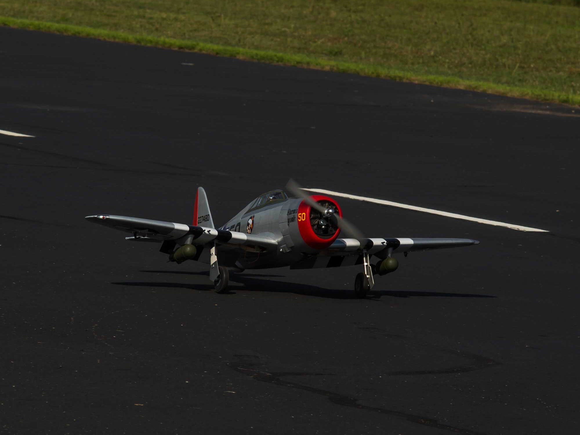 P-47D Thunderbolt 20cc ARF, 67"-27