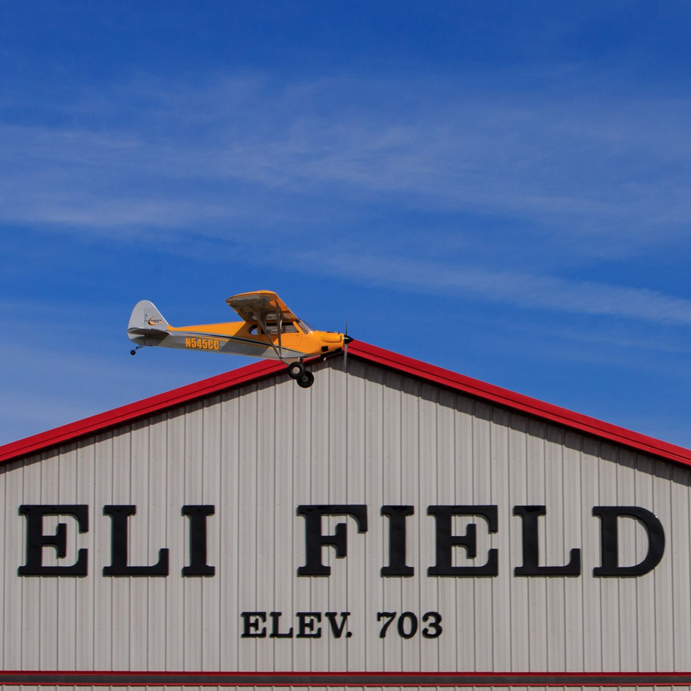 Carbon Cub 15cc ARF-9