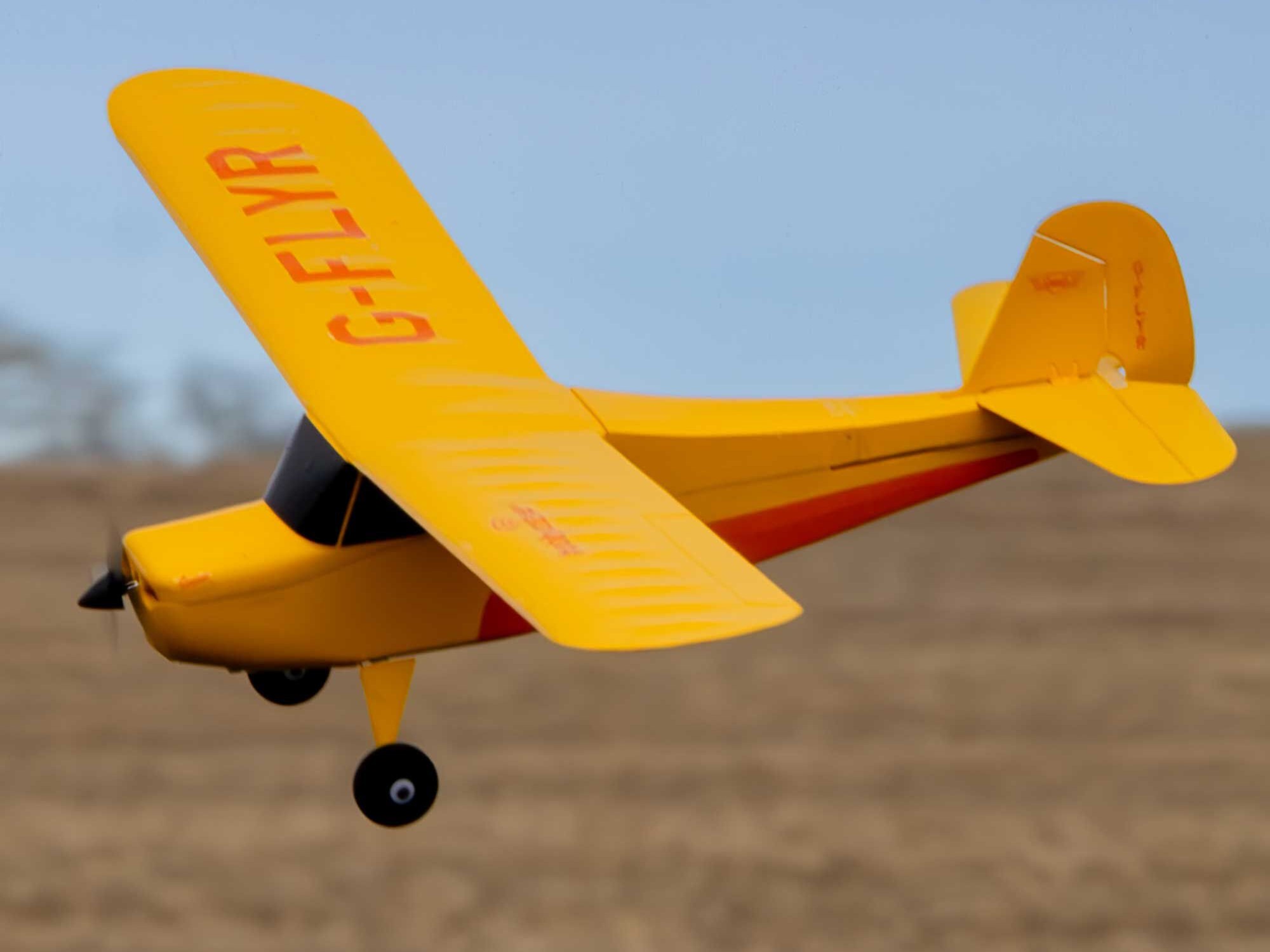 Champ Anniversary Special Edition 515mm RTF with SAFE-17