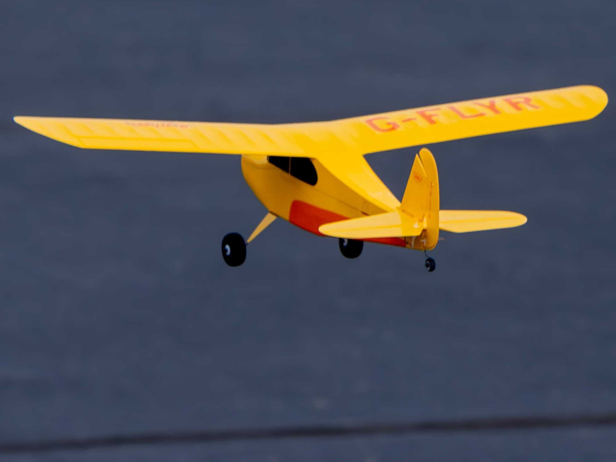 Champ Anniversary Special Edition 515mm BNF Basic with SAFE-14