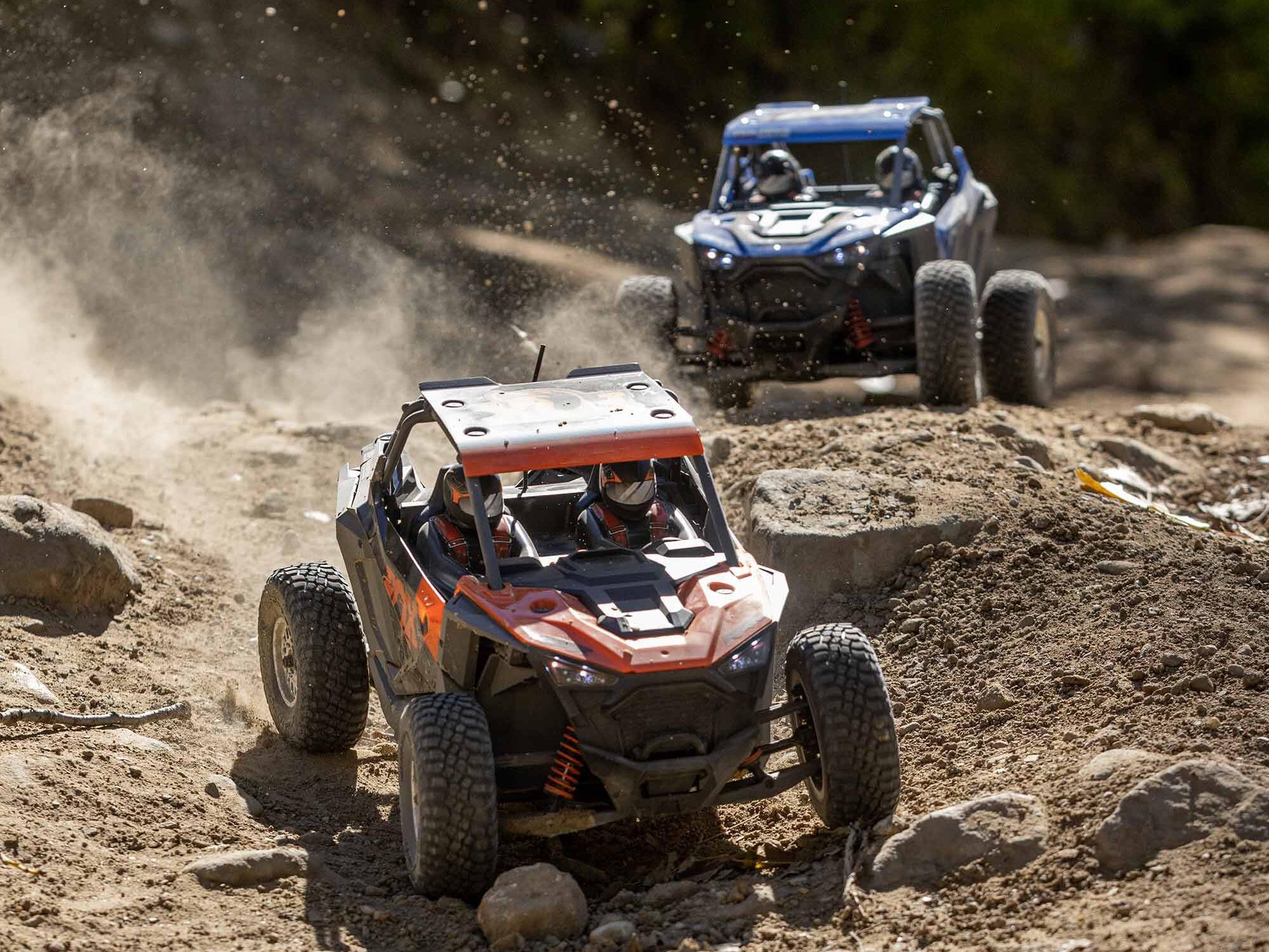 1/10 RZR Rey 4WD Utility Terrain Vehicle RTR FOX-22