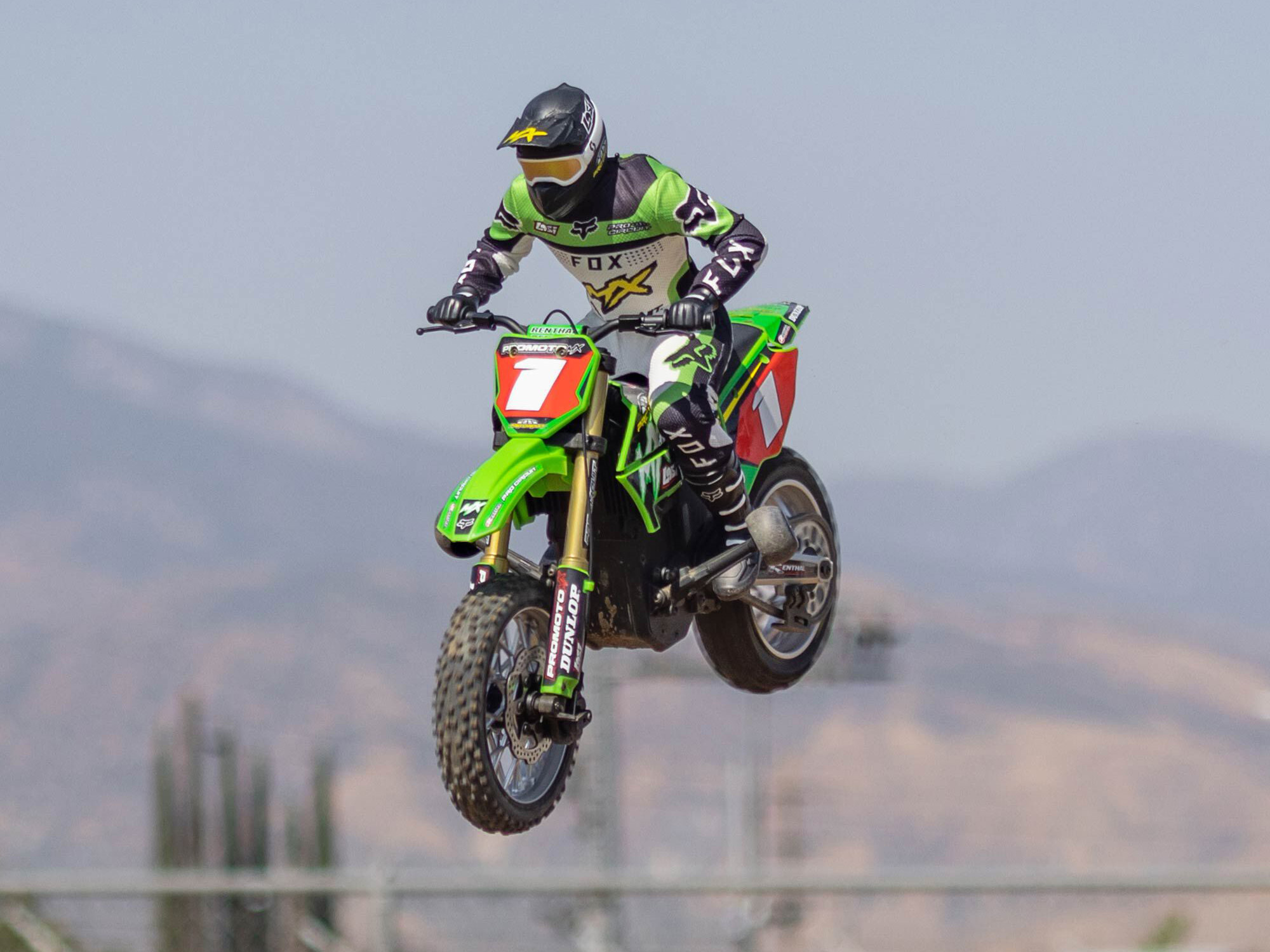 Losi Promoto-MX Motorcycle RTR 1/4 with Battery and Charger, Pro-23