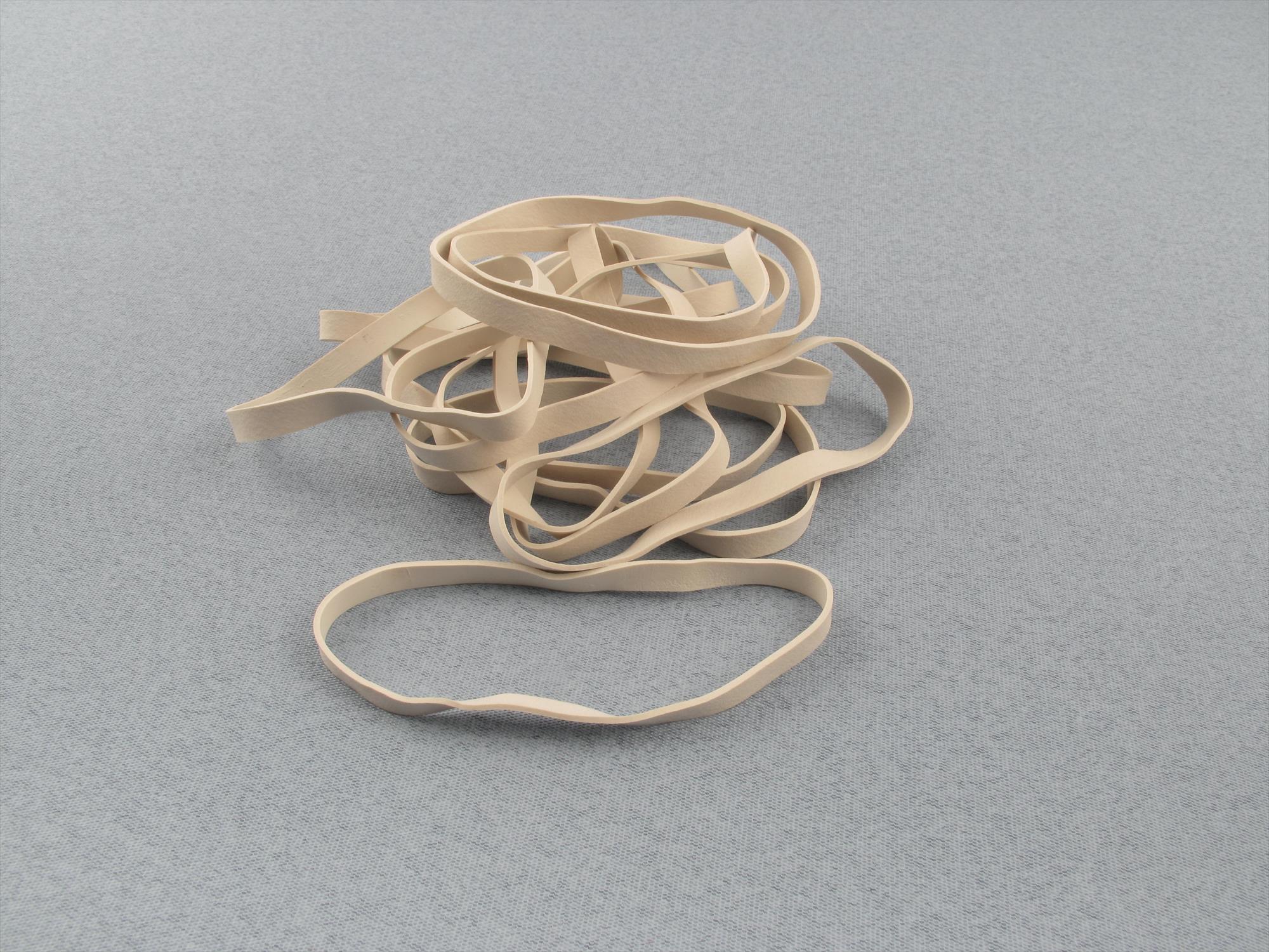 wingbands-white-4-100x6mm-pk12