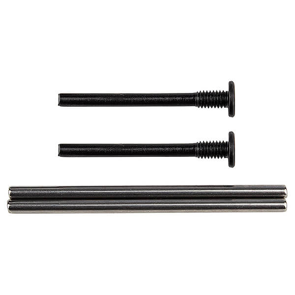 Team Associated Apex 2 Hinge Pins