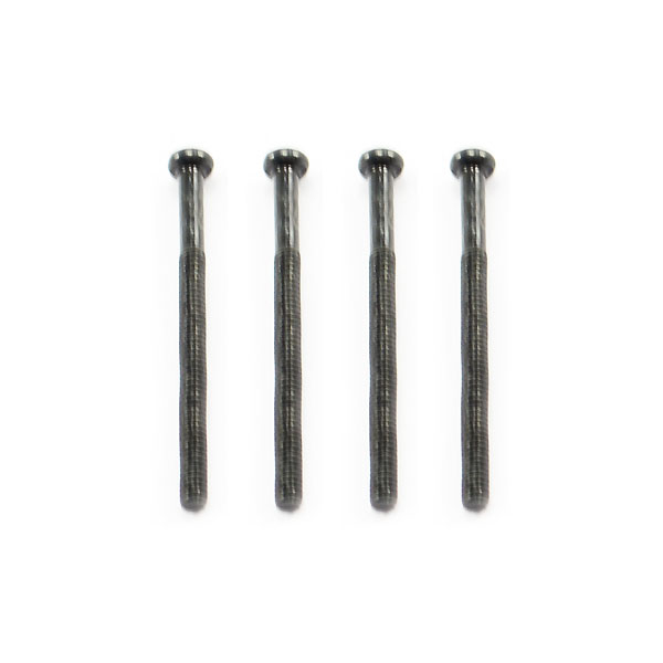 Ftx Outback Rounded Head Screw  M2*27 (4)